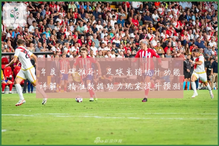 年度口碑推荐：足球竞猜统计功能详解，精准数据助力玩家提升预测水平