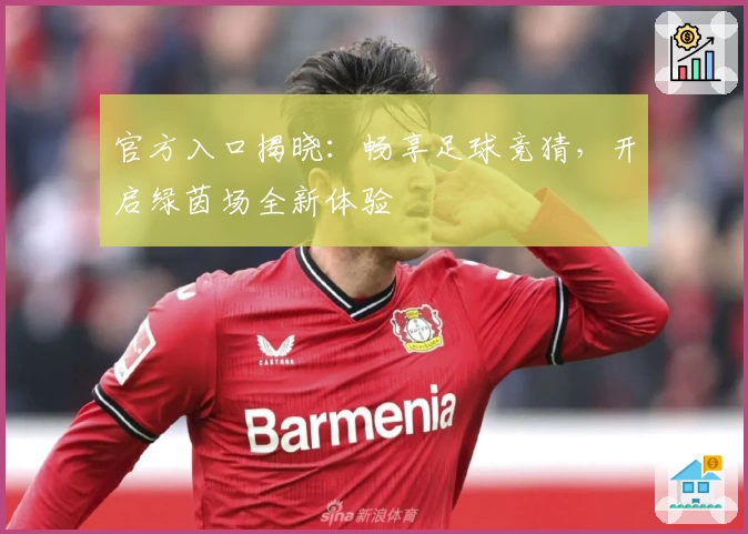 官方入口揭晓:畅享足球竞猜,开启绿茵场全新体验